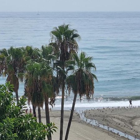 Apartamentos Real 81 Estepona Kültér fotó