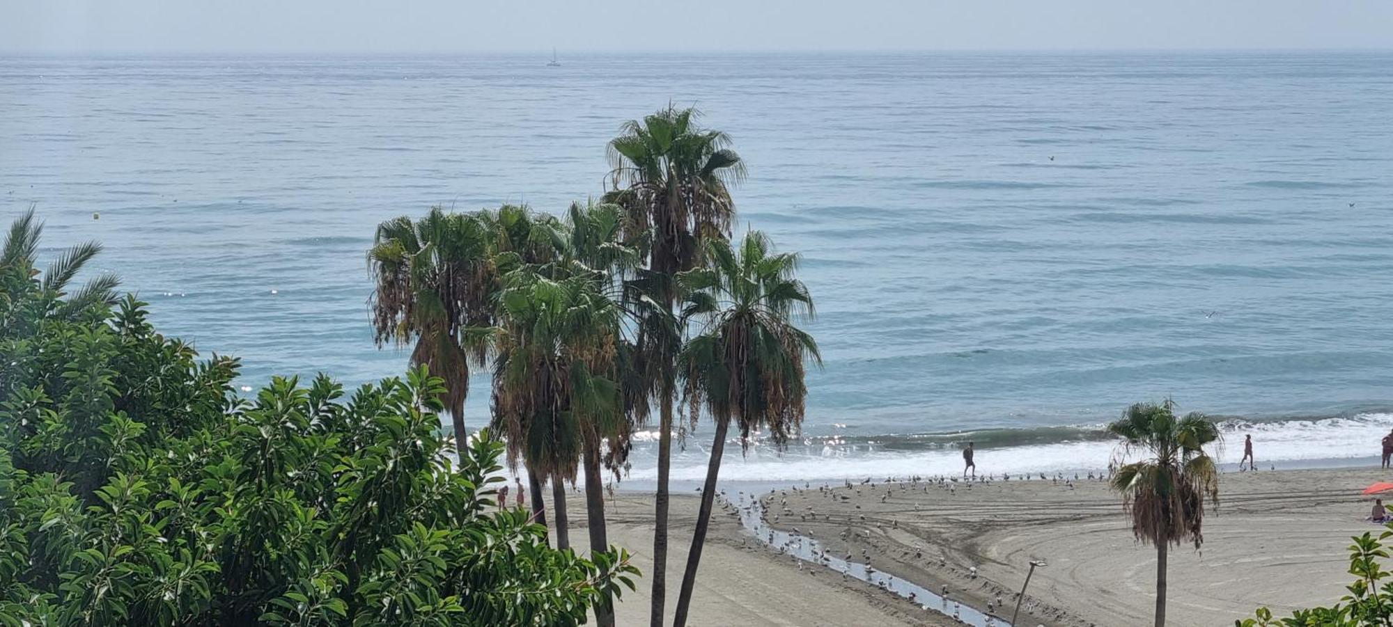Apartamentos Real 81 Estepona Kültér fotó